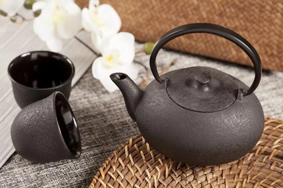 Cosy&Trendy Fuku Black Theepot met filter TSP72 - 0,55L - 2 Kopjes