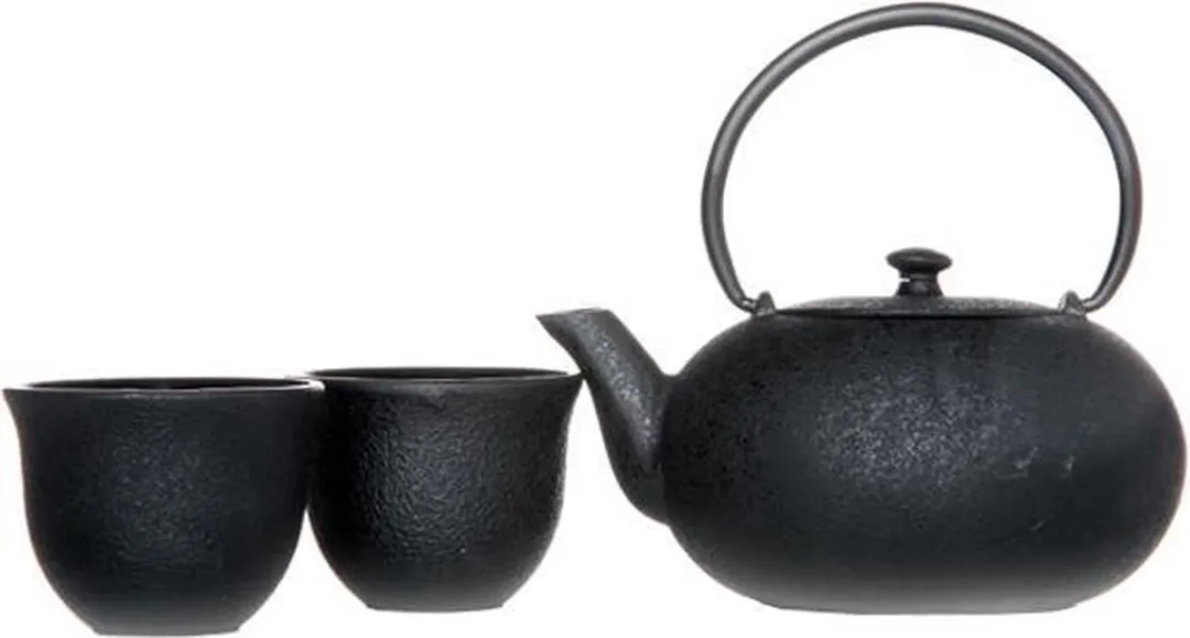 Cosy&Trendy Fuku Black Theepot met filter TSP72 - 0,55L - 2 Kopjes