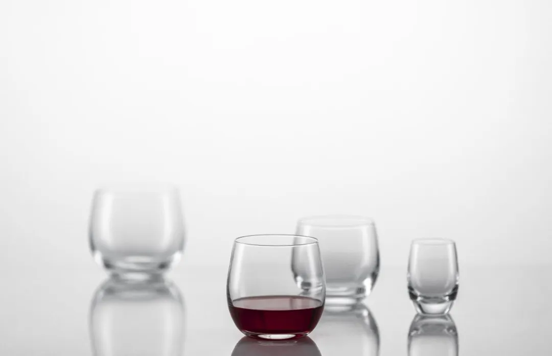 Schott Zwiesel For You Sapglas 400ml - 4 Stuks