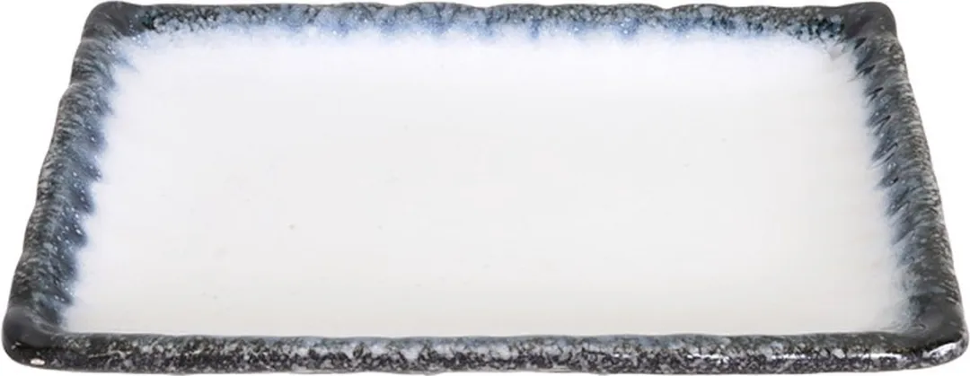 Tokyo Design Studio Tajimi Rechthoekig Bord 7461