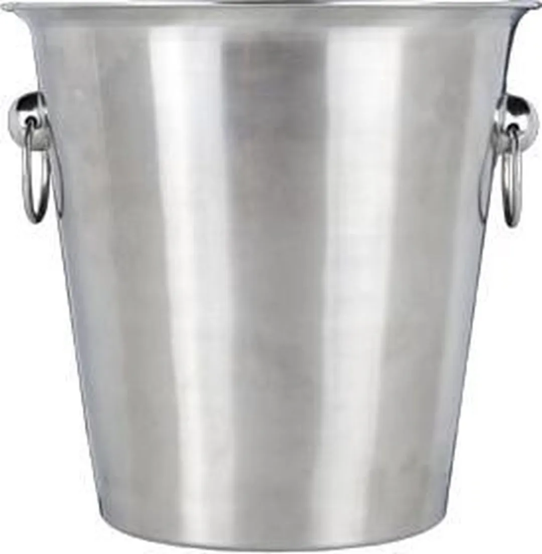 Cosy&Trendy Emmer D21XH20,5cm Champagne - Zilverkleurig