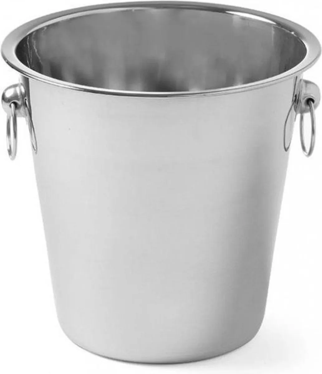 Cosy&Trendy Emmer D21XH20,5cm Champagne - Zilverkleurig