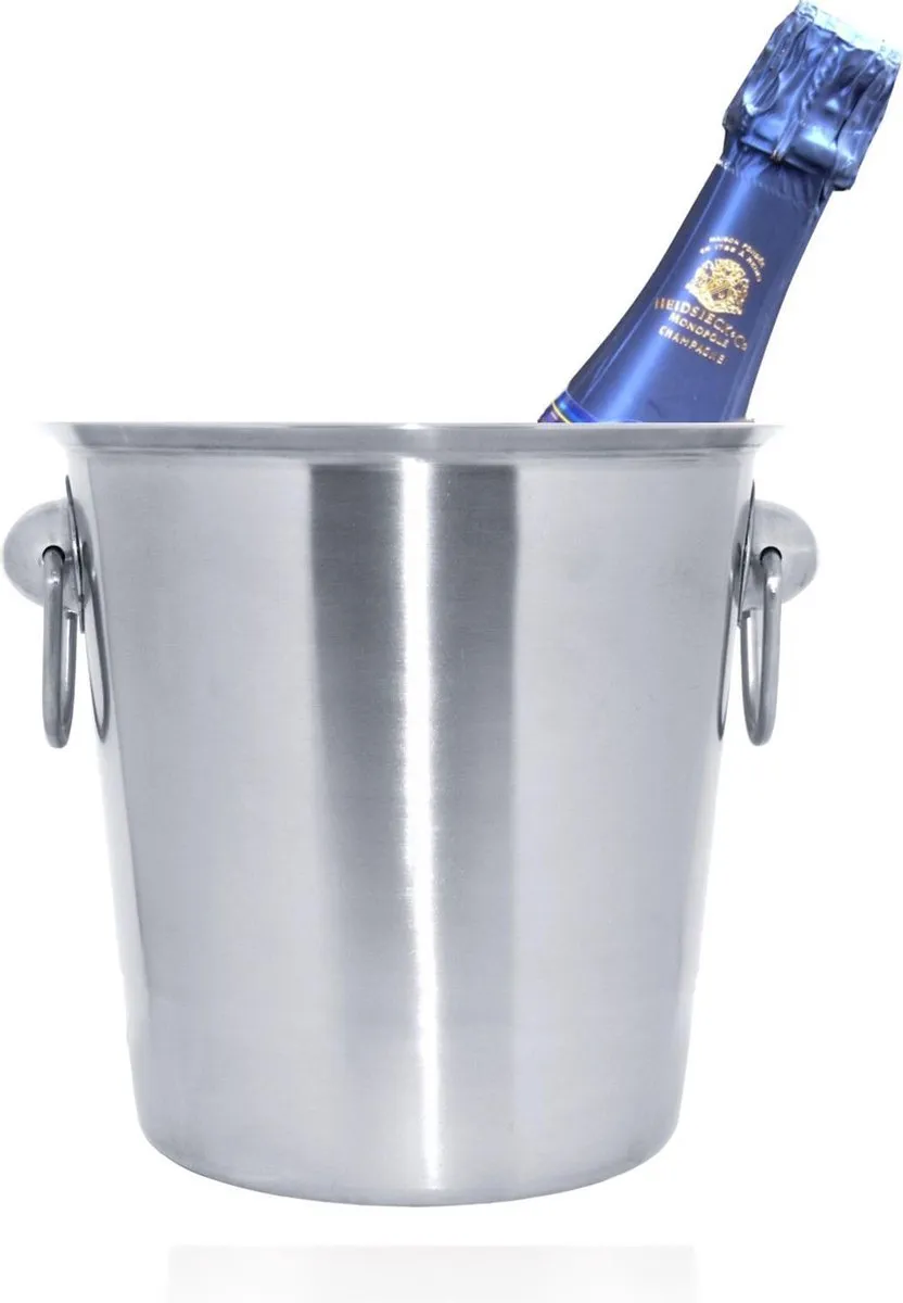 Cosy&Trendy Emmer D21XH20,5cm Champagne - Zilverkleurig