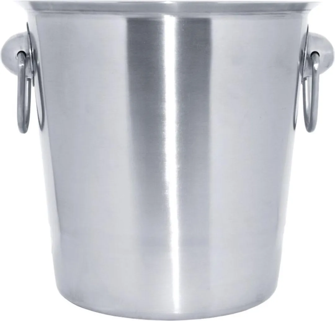 Cosy&Trendy Emmer D21XH20,5cm Champagne - Zilverkleurig