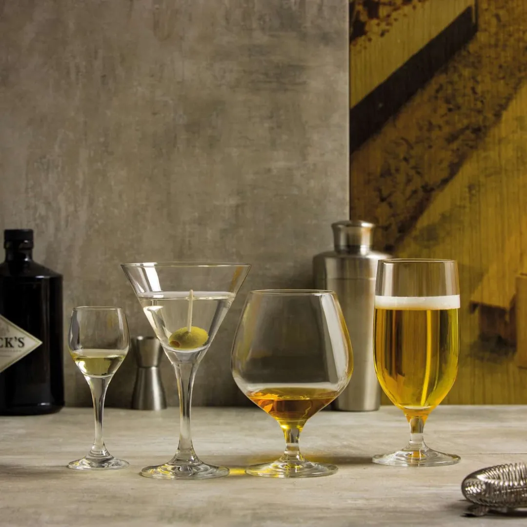 Schott Zwiesel Mondial Cognacglas 0.51L - Set van 6