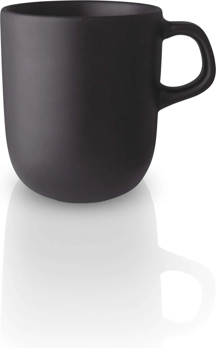 Eva Solo Nordic Kitchen Mok 300ml