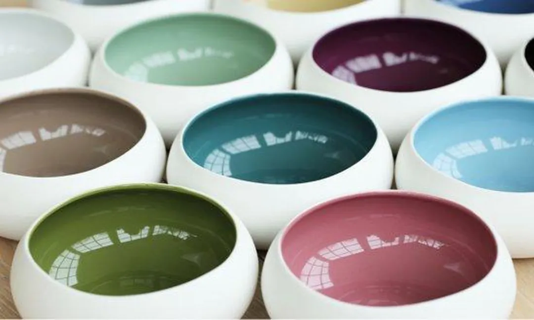 Cosy&Trendy Rainbow Schaaltjes - Ø12cm - 12 Stuks