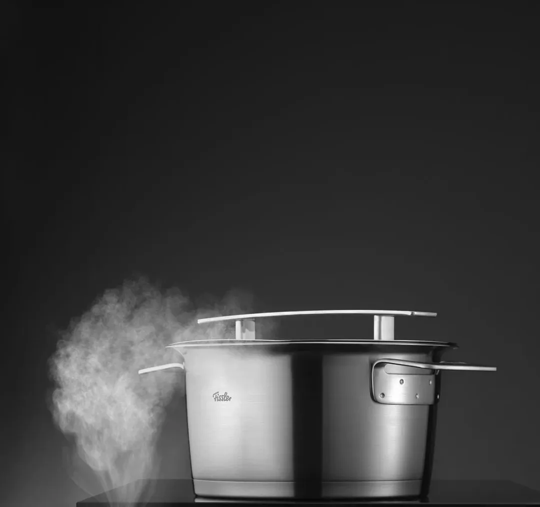 Fissler Original-Profi Collection Stoominzet – 20 cm – RVS – Geschikt voor Diverse Pannen