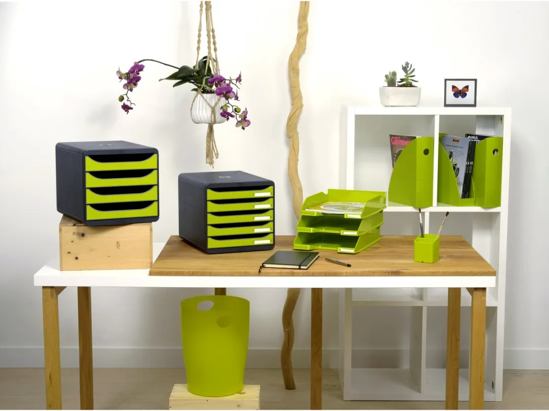 Exacompta Ladenbox BIG-BOX 310725D - Anijsgroen