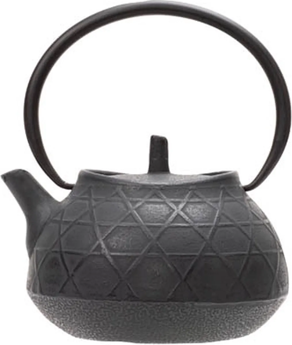 Cosy&Trendy Theepot Tsukumi Gietijzer 1,1L