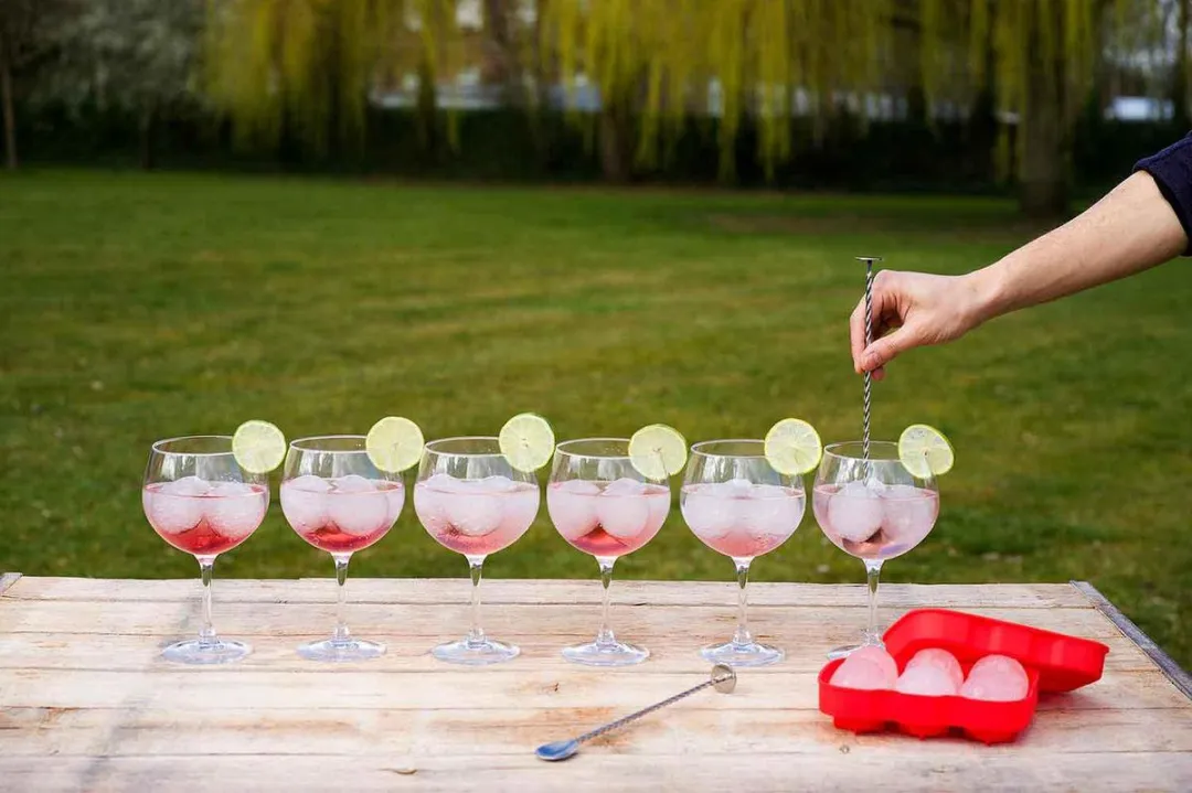 Cosy&Trendy Cocktaillepels - 27cm - Zilverkleurig - 2 Stuks