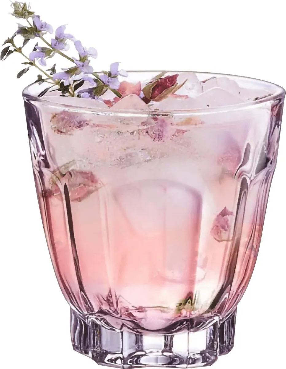 Arcoroc BIQ2967 Drinkglazen - 6 Stuks - 240ml