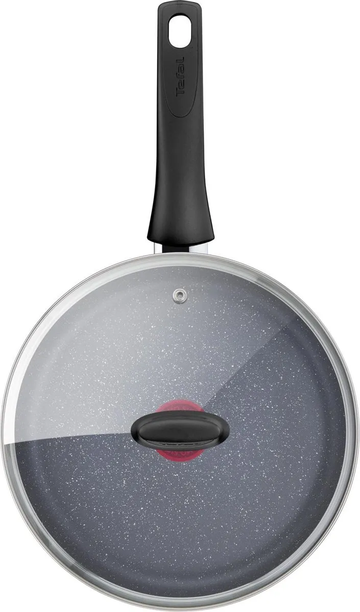 Tefal Healthy Chef Hapjespan 24cm - Grijs