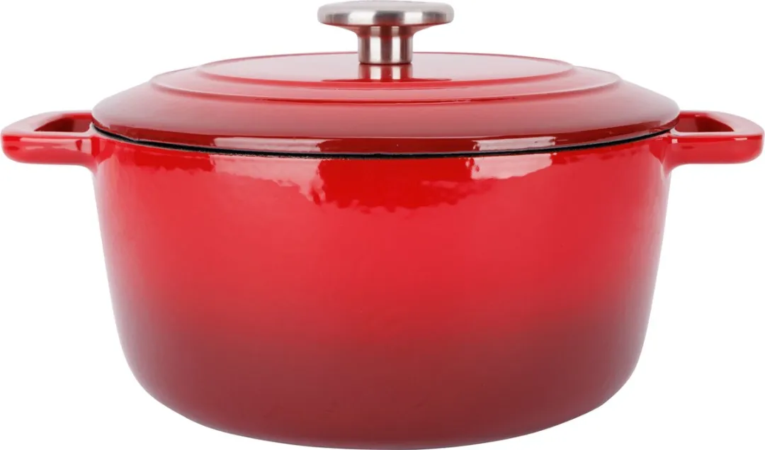 Cosy&Trendy Fontestic Braadpan 4,6L