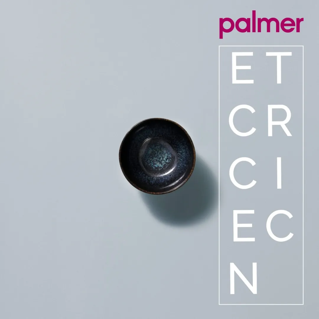 Palmer Eccentric Schaal Kom 6 Stuks 26cl - Blauw