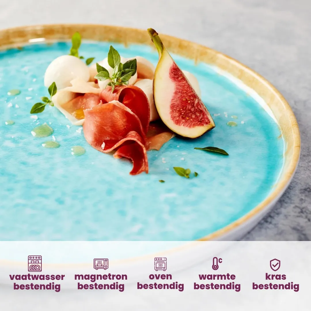 Cosy&Trendy Pizzabord Laguna Azzurro - 4 Stuks Ø31cm - Blauw