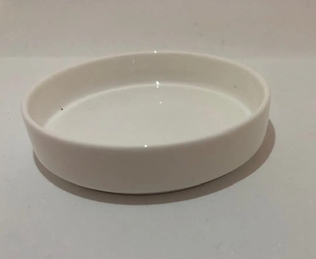 Wedgwood Schaaltje Wit Bone China