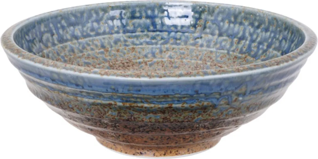 Tokyo Design Studio Minoyaki Reef Blauwe Kom