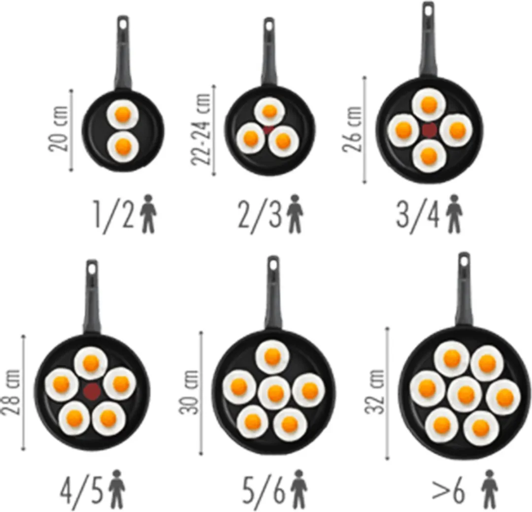 Tefal E24905 Pan - 26cm