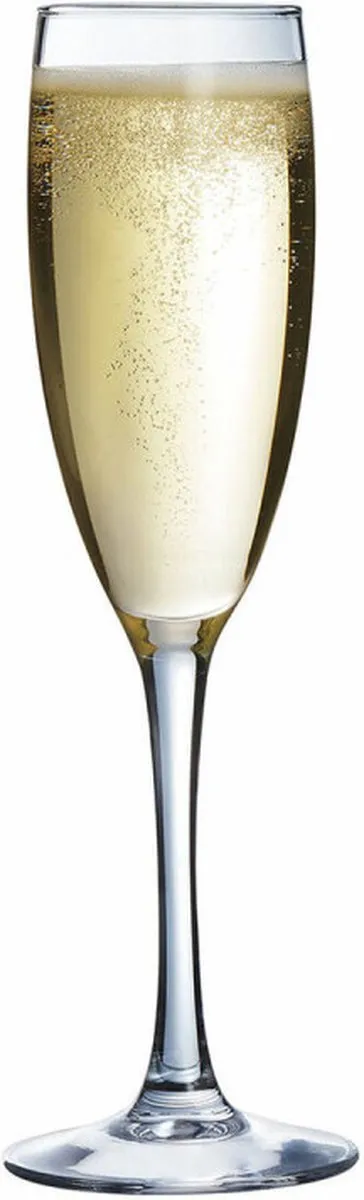 Arcoroc BIL1351/6 Champagneglazen 19cl - 6 Stuks