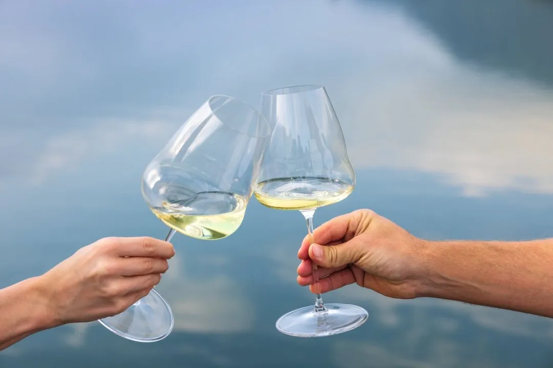 Riedel Winewings Wijnglas Sauvignon Blanc 742ml