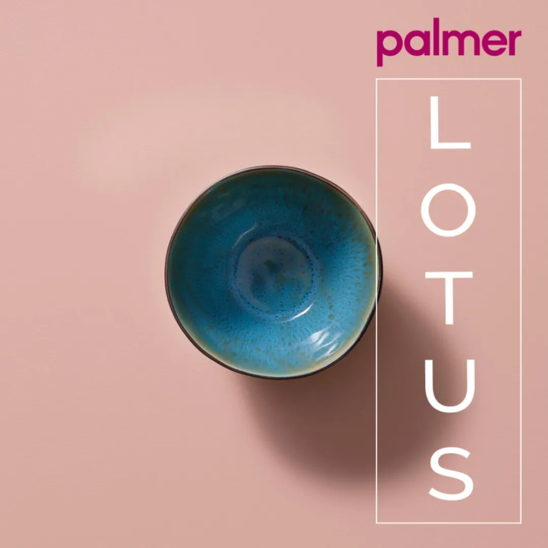 Palmer Lotus Schaal 2 Stuks - 1L - Ø15cm - Turquoise/Zwart