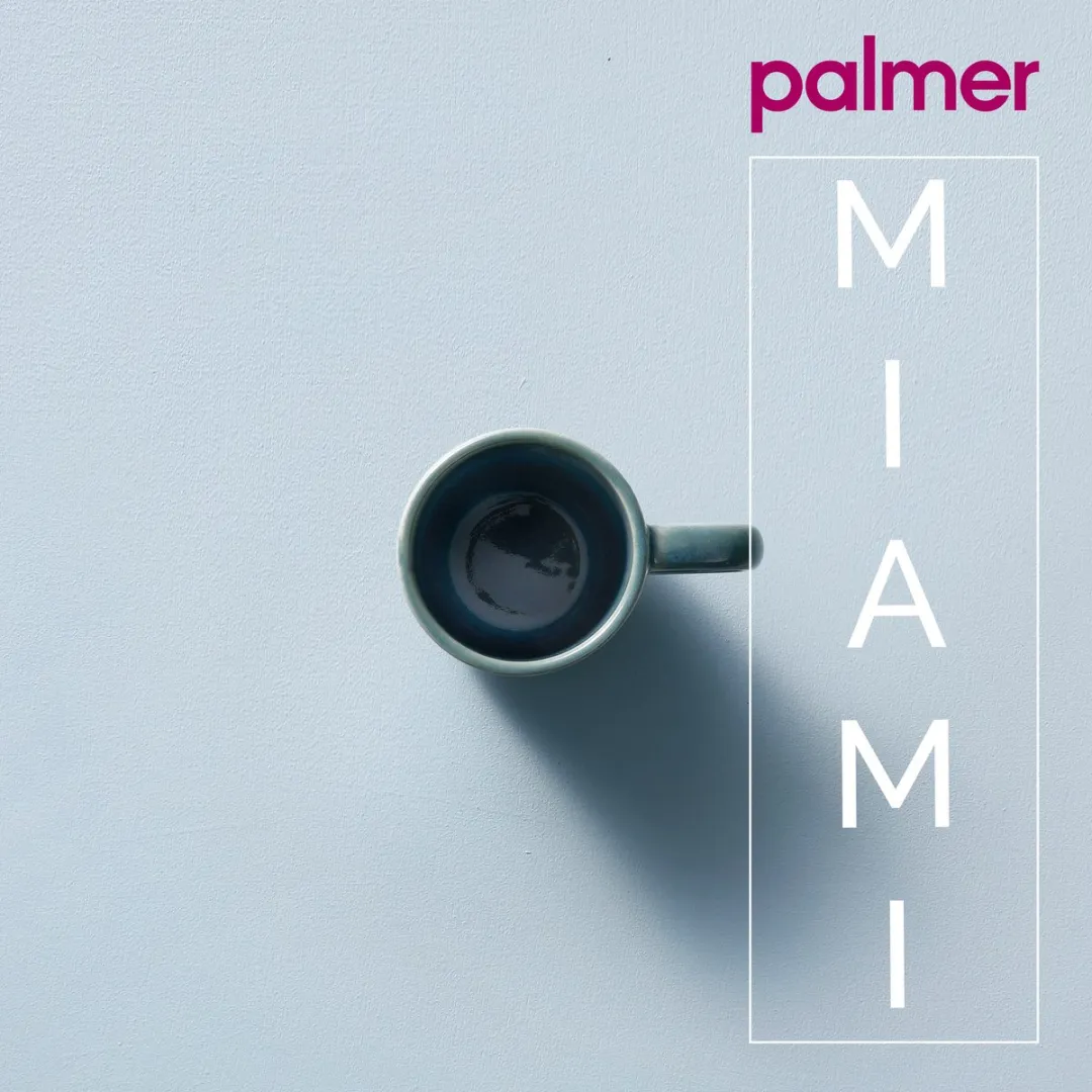 Palmer Miami Mokken 29cl - 2 Stuks - Groen