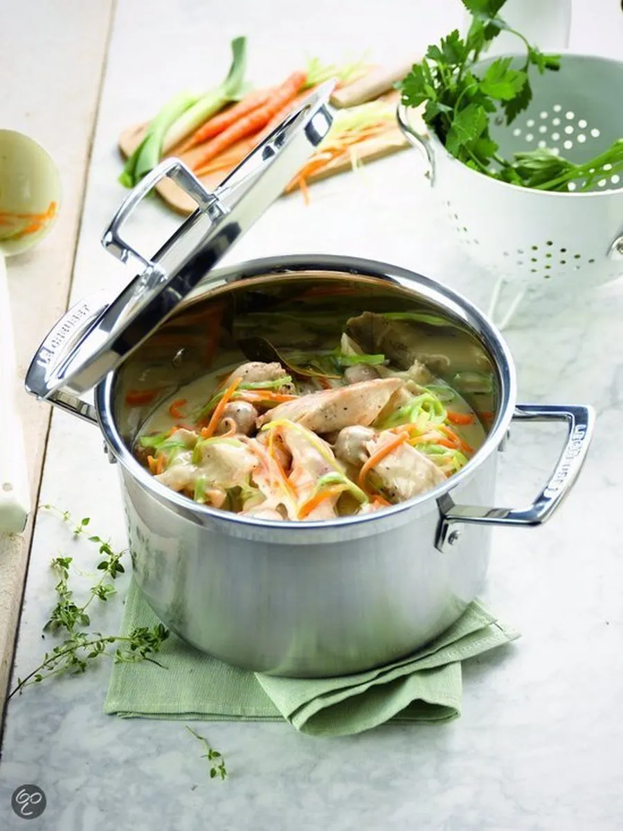 Le Creuset Magnetik Kookpan 20cm - 4L - Grijs