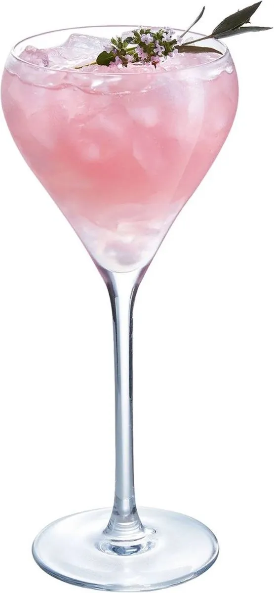 Arcoroc Brio Cocktailglazen 210ml - 6 Stuks