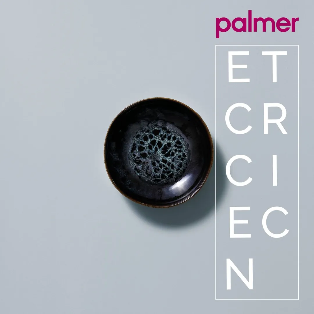 Palmer Eccentric Schaal 40cl - Blauw - 2 Stuks