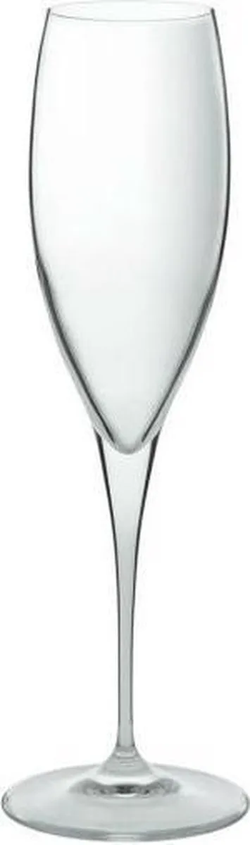 Bormioli Rocco Premium Champagneglas 26cl - Set van 6