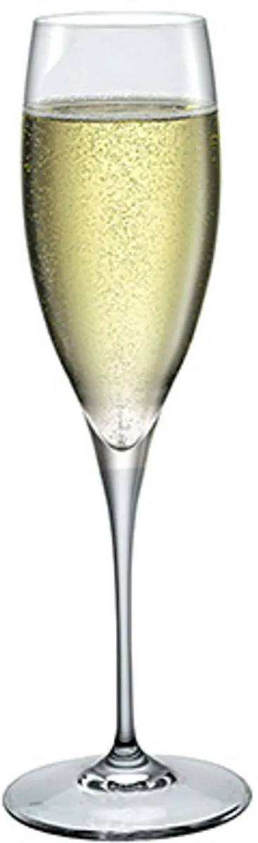 Bormioli Rocco Premium Champagneglas 26cl - Set van 6