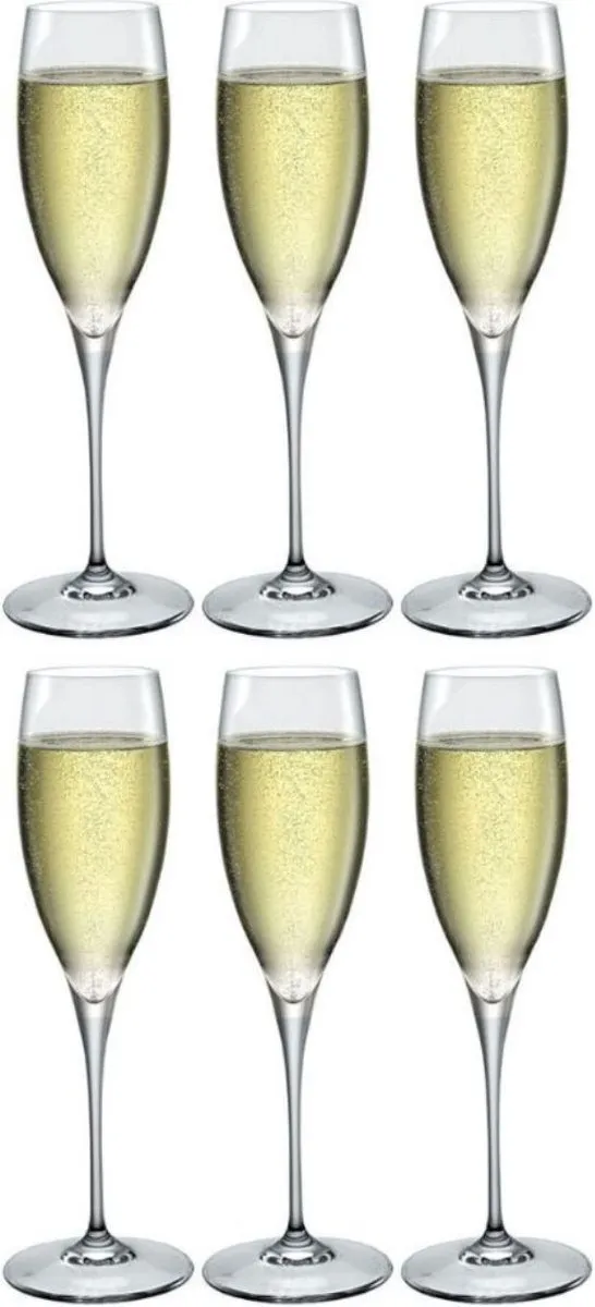Bormioli Rocco Premium Champagneglas 26cl - Set van 6