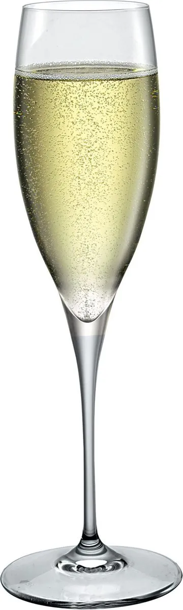 Bormioli Rocco Premium Champagneglas 26cl