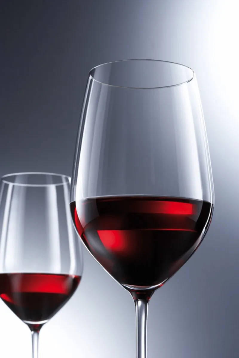 Schott Zwiesel Vina Bourgogne Wijnglazen 0,4L - Set van 6