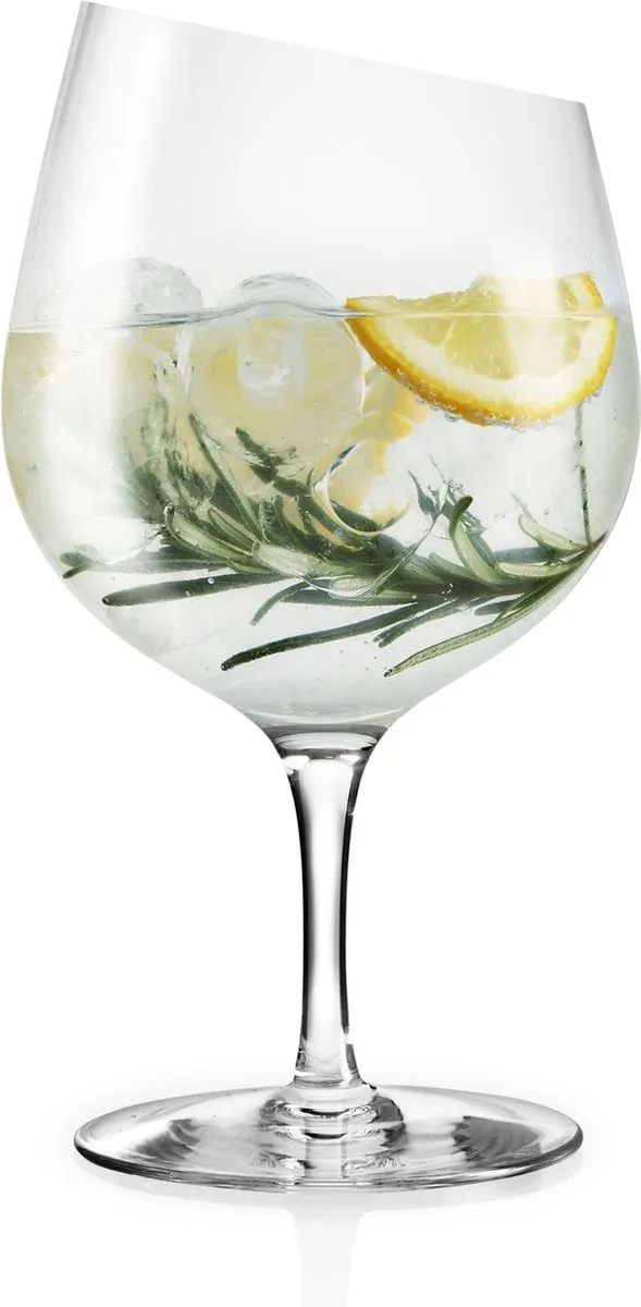 Eva Solo Glas Gin 620ml
