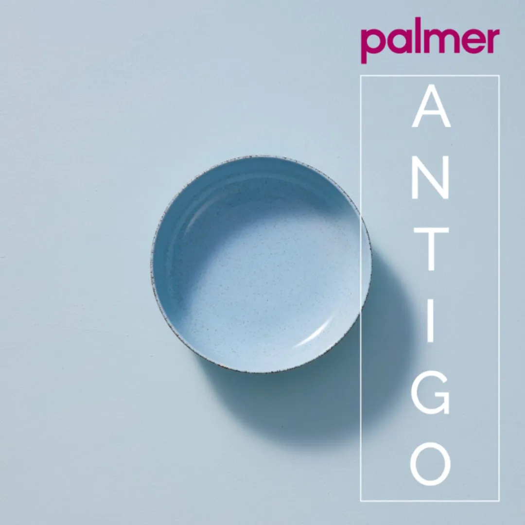 Palmer Antigo Kom 47cl - 2 Stuks - Lichtblauw
