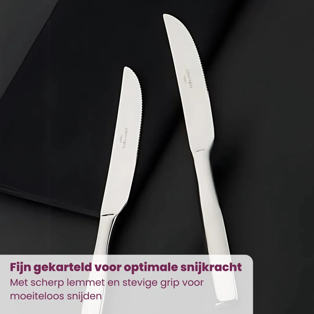 Villeroy & Boch Piemont Pizza/Steakmes Set - 6-delig - Zilver