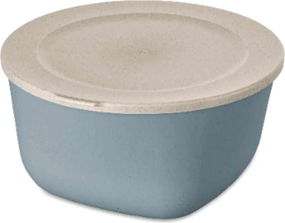 Koziol Vershouddoos 4L Natuur Bloemen Blauw