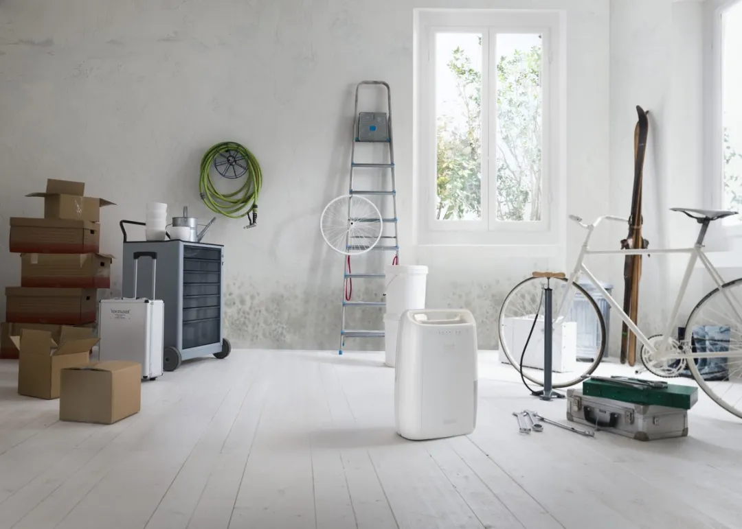 De'Longhi Tasciugo AriaDry DEX210SF - Luchtontvochtiger - Wit
