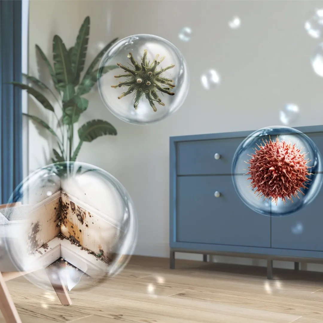 Philips 3000-serie DE3306/11 Luchtontvochtiger - 34,3 l/dag - 150 m² - Grijs