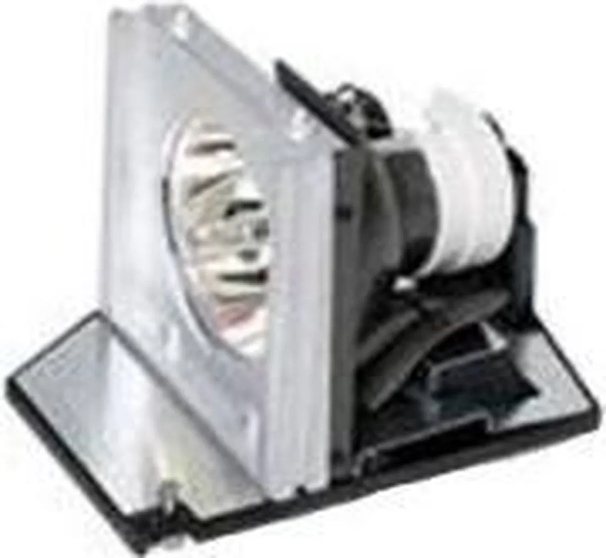 Acer EC.K2700.001 Vervangingslamp P7500