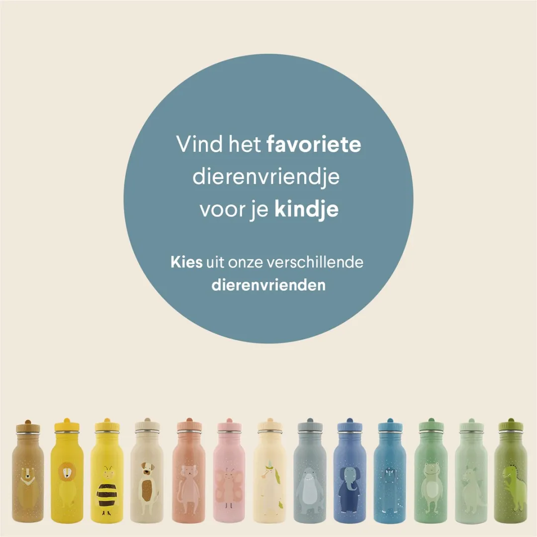 Trixie Mr Triceratops RVS Waterfles 500ml - Blauw - 41-228
