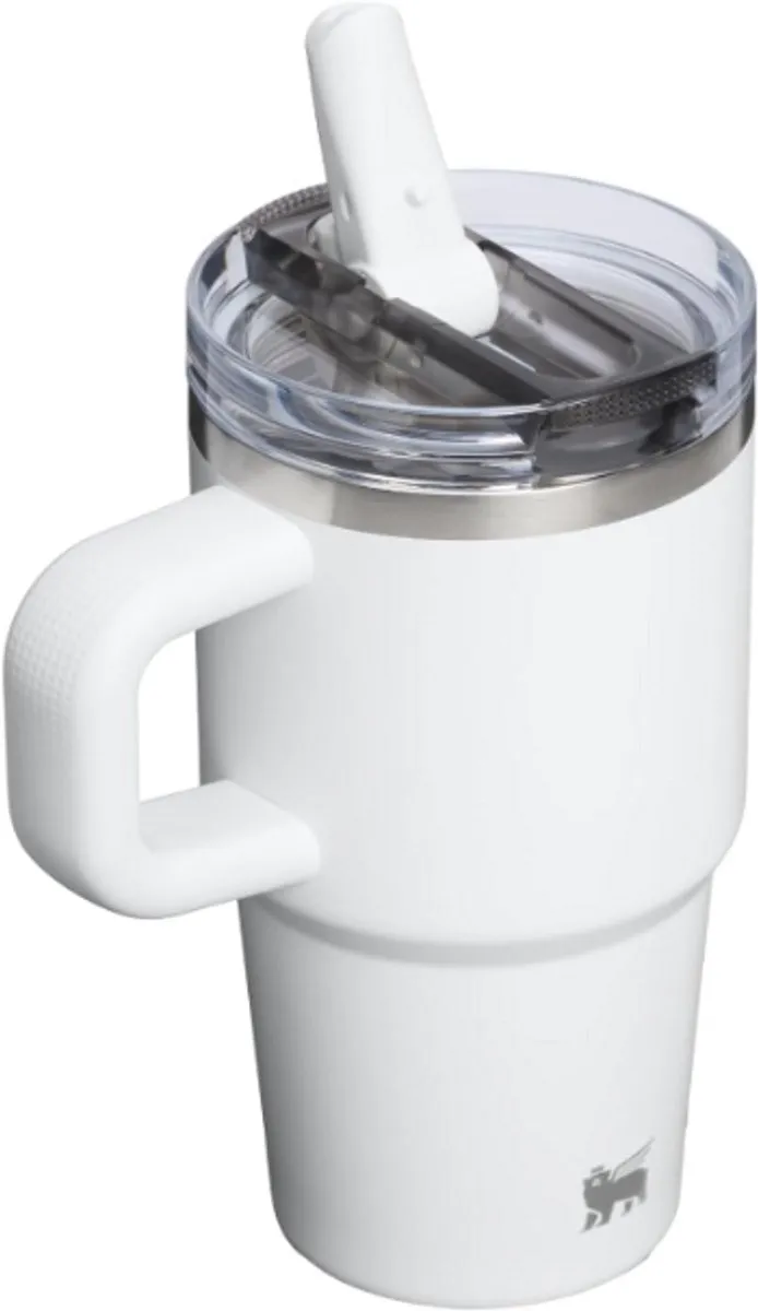 Stanley Quencher ProTour Flip Straw Tumbler 20oz - 0.59L - Frost - afbeelding 4 van 5