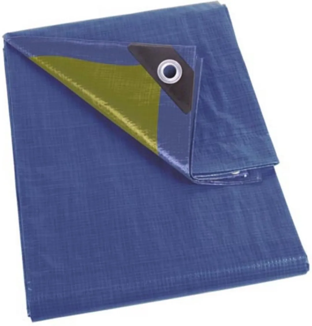 Perel Dekzeil 5x8m Blauw/Groen