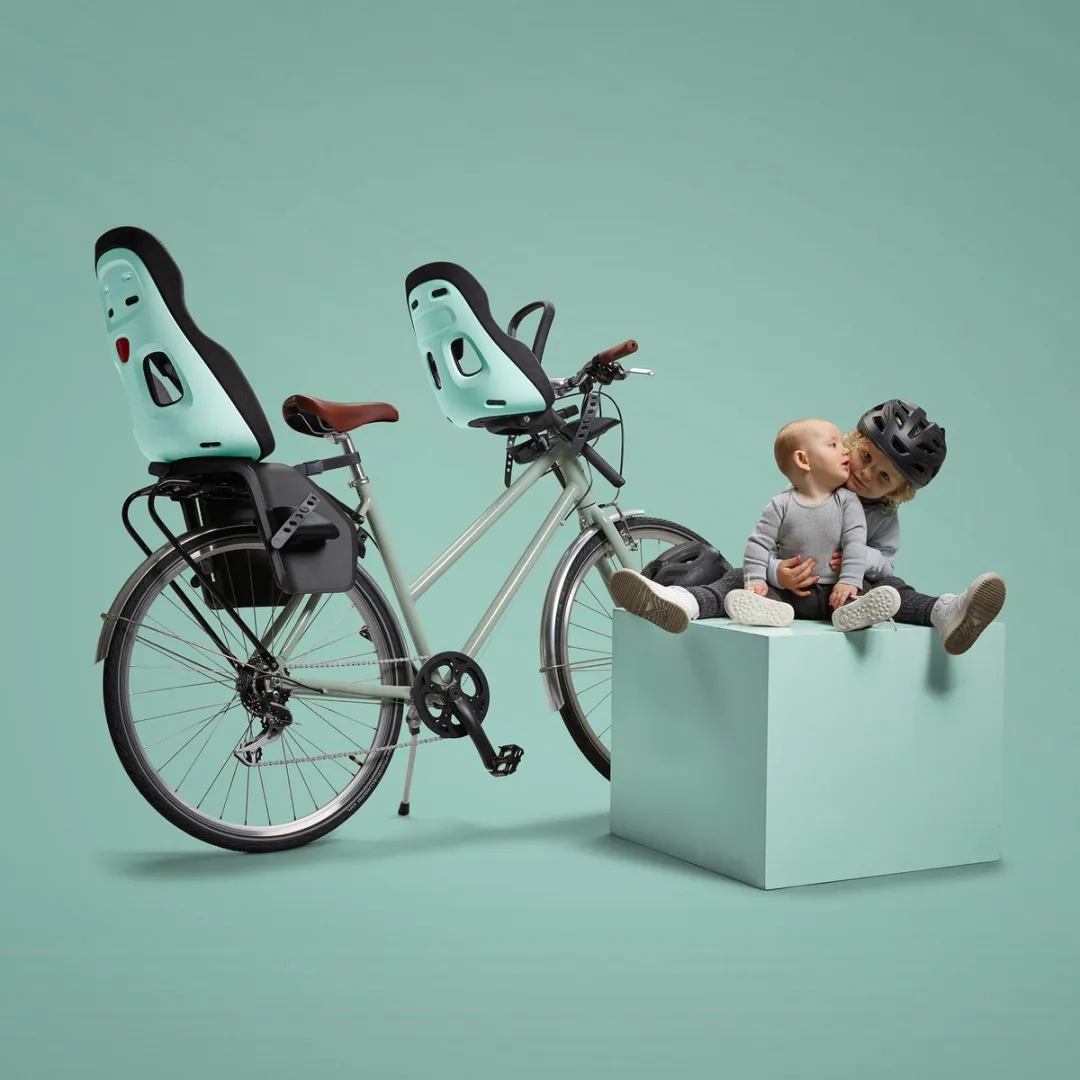 Thule Yepp Nexxt 2 Maxi Fietsstoeltje RM - Grijs