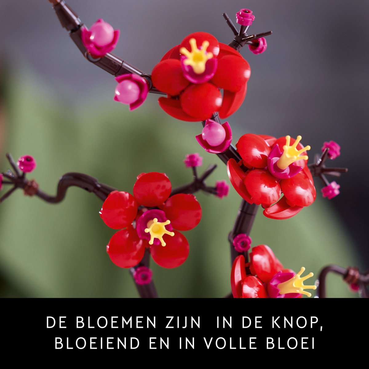 LEGO Icons Japanse abrikoos - Botanical Collection - 10369