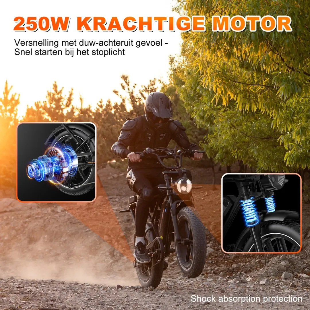 RCB Elektrische fatbike - 48V 15.6Ah Mountainbike - Actieradius 80km - 25km/u - 250W motor - 7 versnellingen - met App en NFC -Zwart