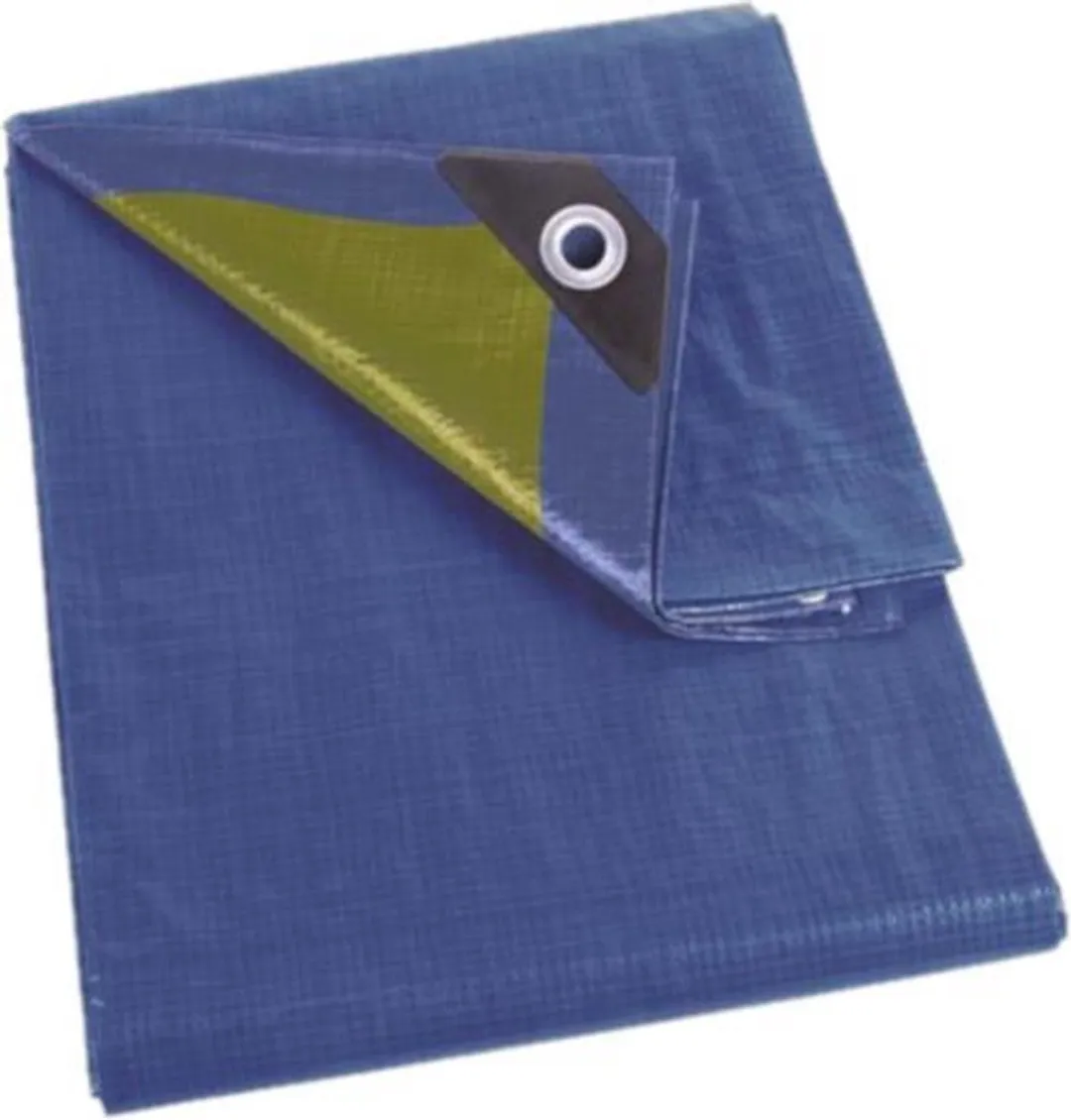 Perel Dekzeil 2x4m Blauw/Groen