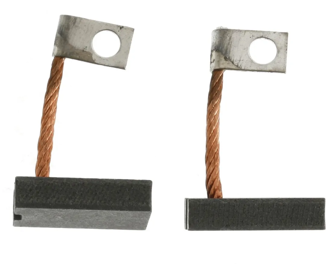 Bosch Koolborstels Dynamo